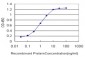 GRM7 Antibody (monoclonal) (M01)